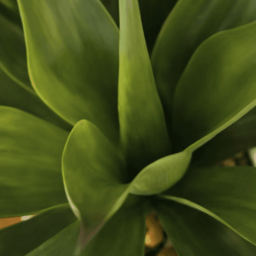 "Sacred Heart Escape" at Ancient Sage Retreat in Highland, IN